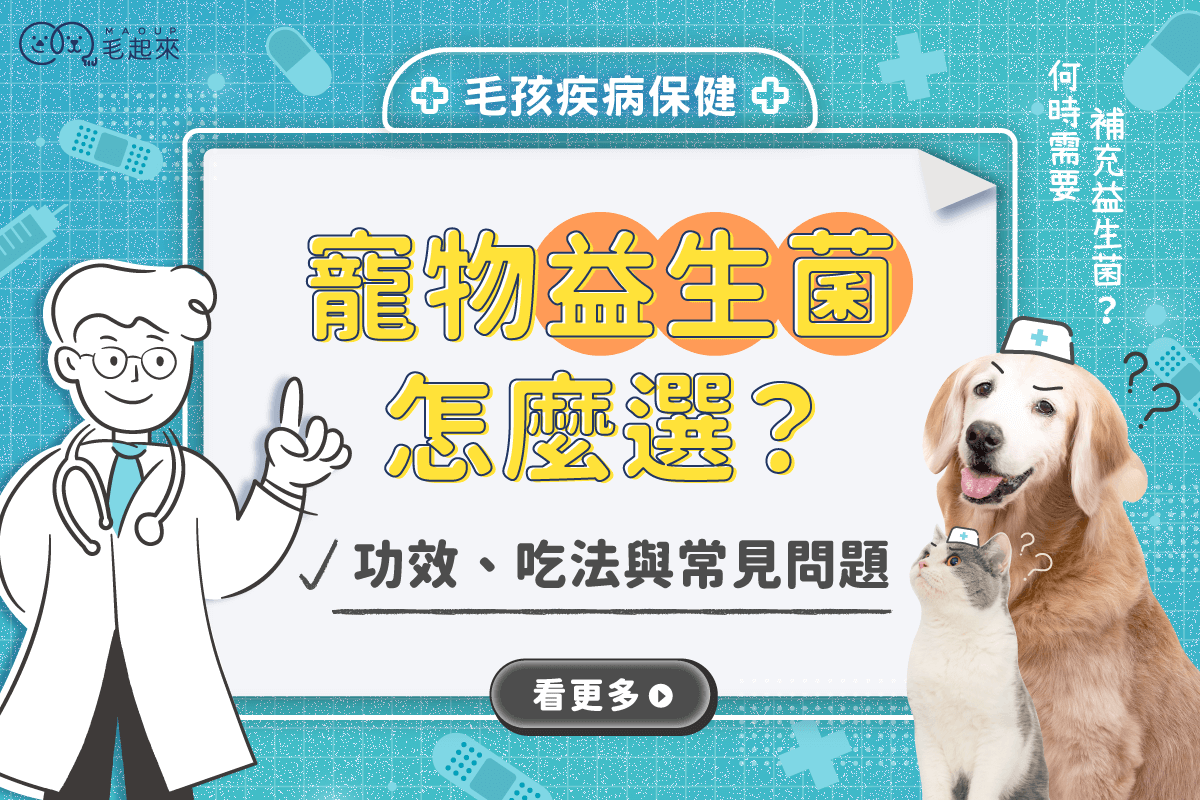 寵物益生菌怎麼選？寵物益生菌功效、吃法與常見問題一次整理