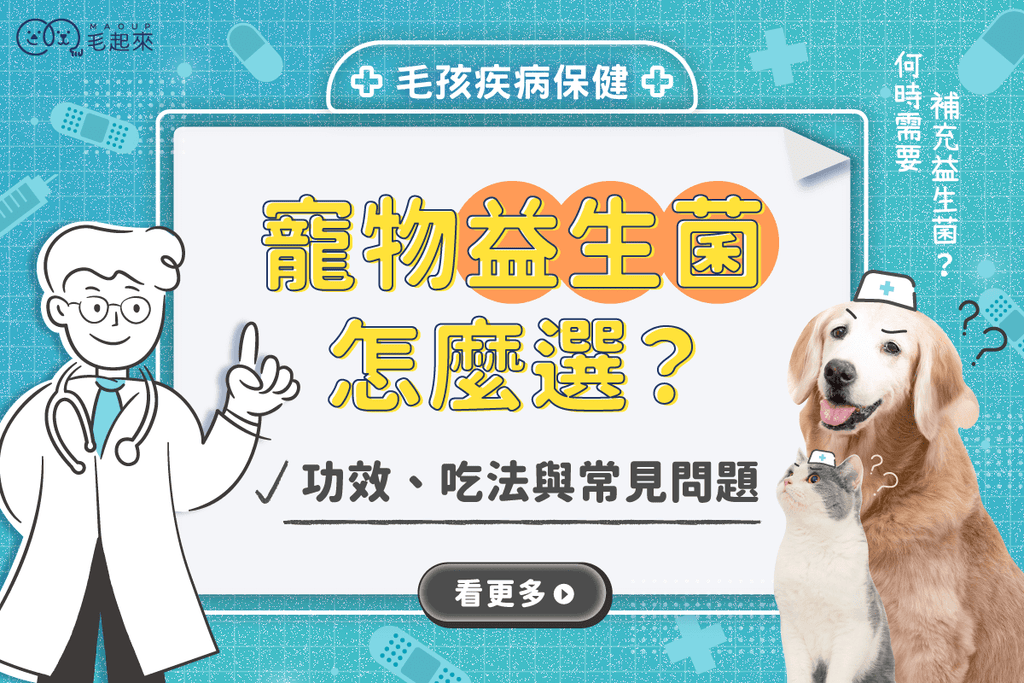 寵物益生菌怎麼選？寵物益生菌功效、吃法與常見問題一次整理