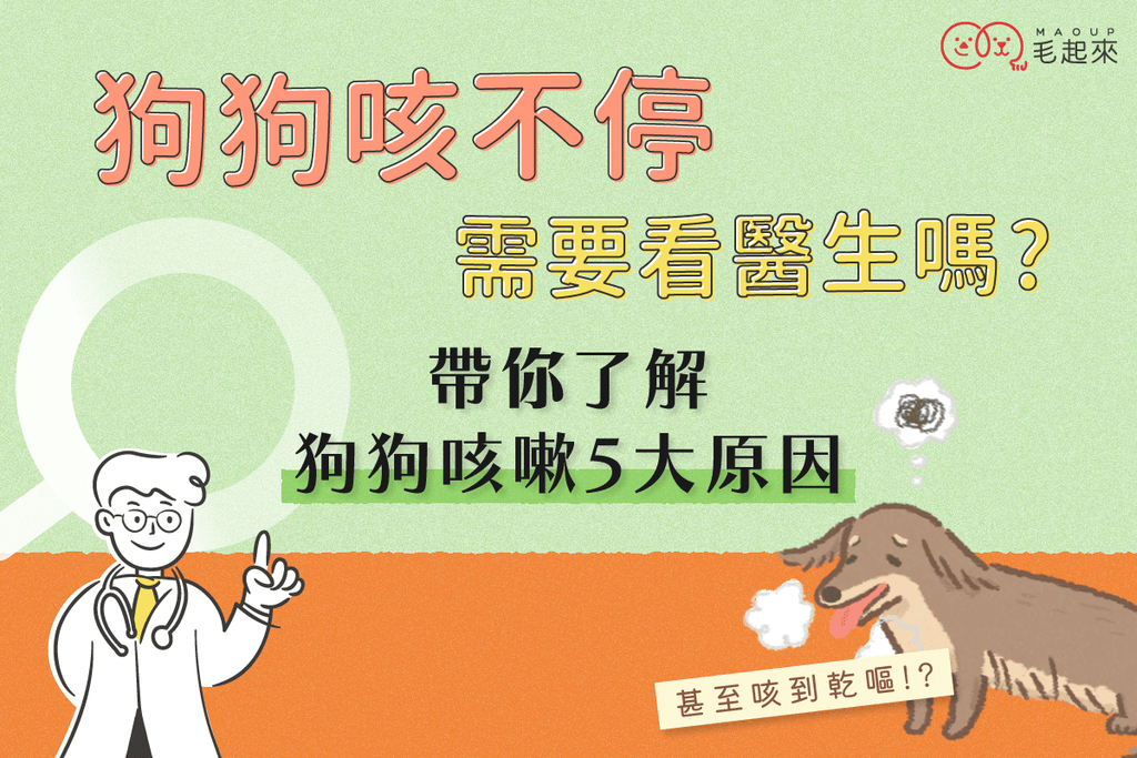 狗狗一直咳嗽還咳到乾嘔？我家狗咳嗽不停需要看醫生嗎？