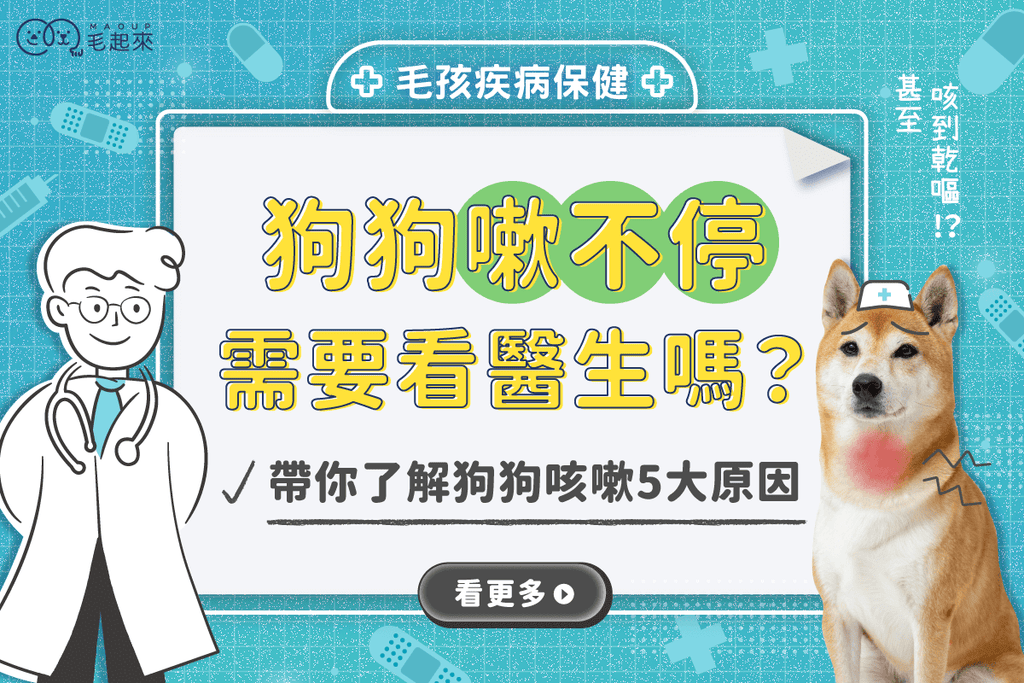 狗狗一直咳嗽還咳到乾嘔？我家狗咳嗽不停需要看醫生嗎？