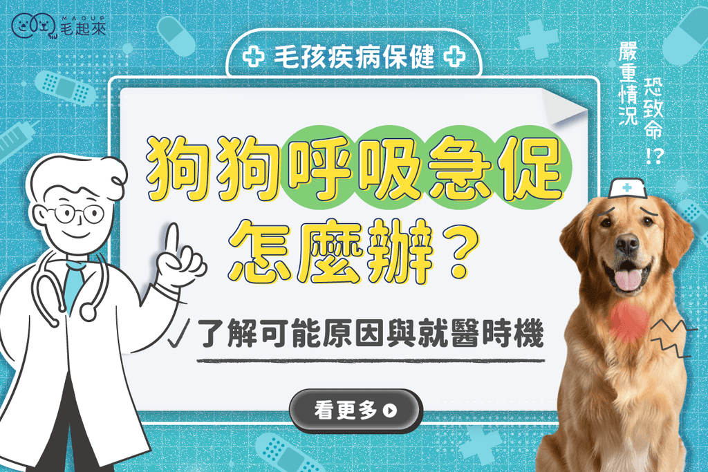狗狗呼吸急促怎麼辦？了解原因與緩解方法，避免突發危機！
