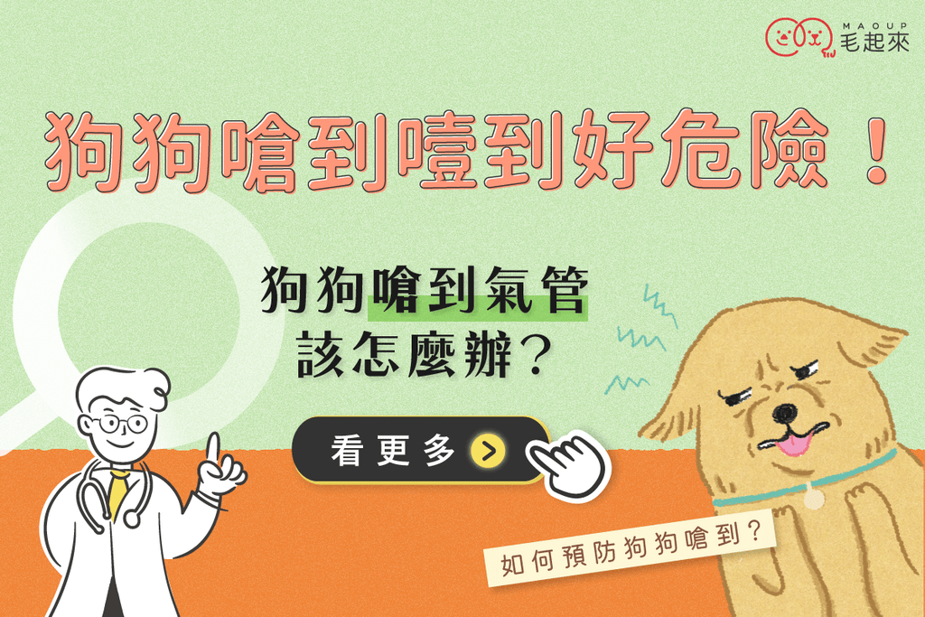 狗狗嗆到噎到好危險！狗嗆到會有什麼症狀，當嗆到氣管該怎麼辦？