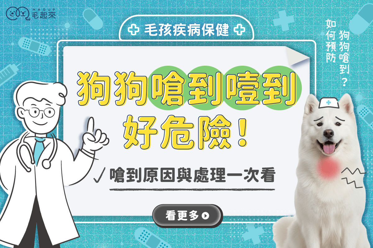 狗狗嗆到噎到好危險！狗嗆到會有什麼症狀，當嗆到氣管該怎麼辦？
