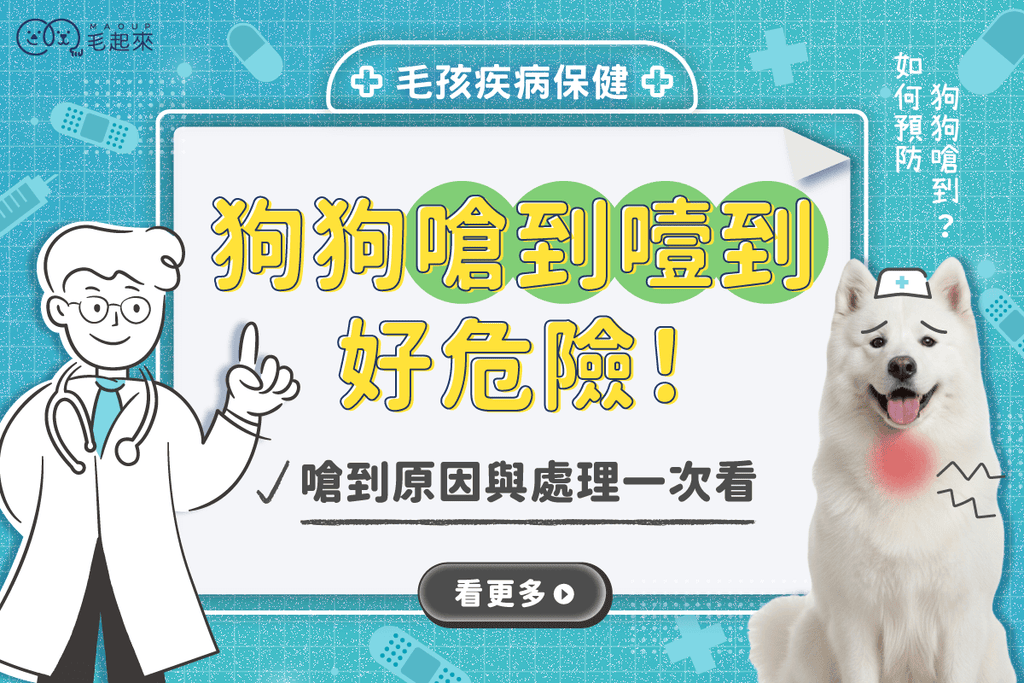 狗狗嗆到噎到好危險！狗嗆到會有什麼症狀，當嗆到氣管該怎麼辦？