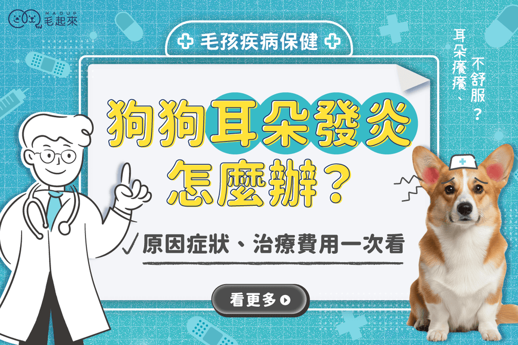 狗狗耳朵發炎怎麼辦？原因、症狀、治療費用一次看懂