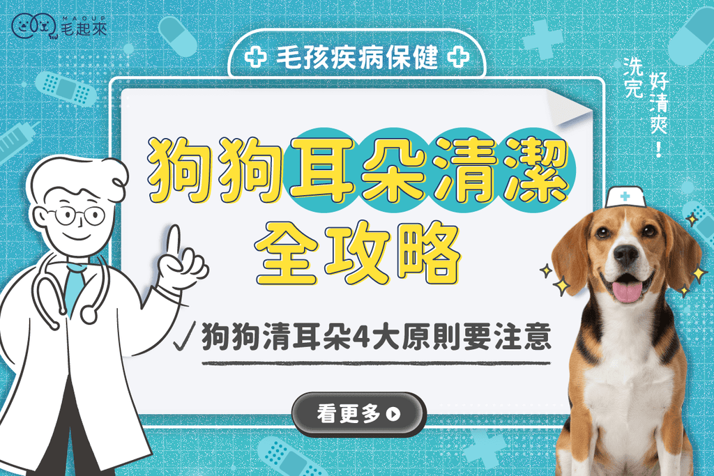 狗耳朵清潔全攻略｜分泌物顏色、潔耳液用法、牠不配合清耳怎麼辦？