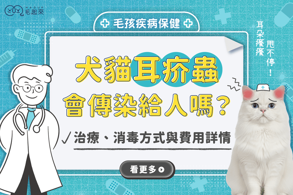 犬貓耳疥蟲會傳染給人嗎？症狀、治療、消毒方式與費用詳解