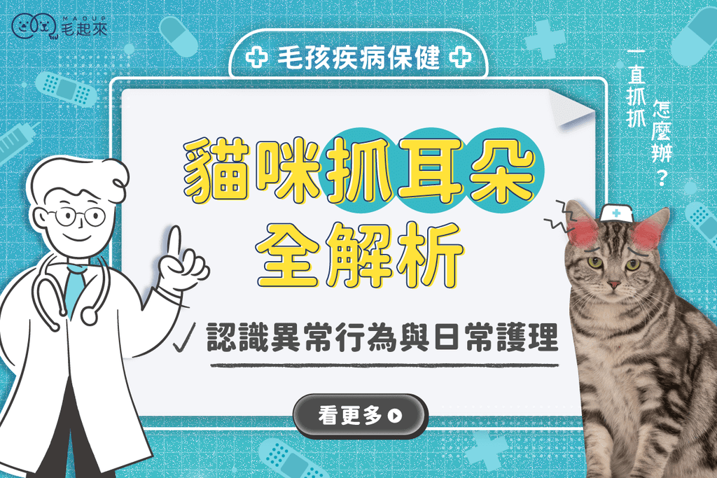 貓咪抓耳朵全解析：日常護理與異常行為