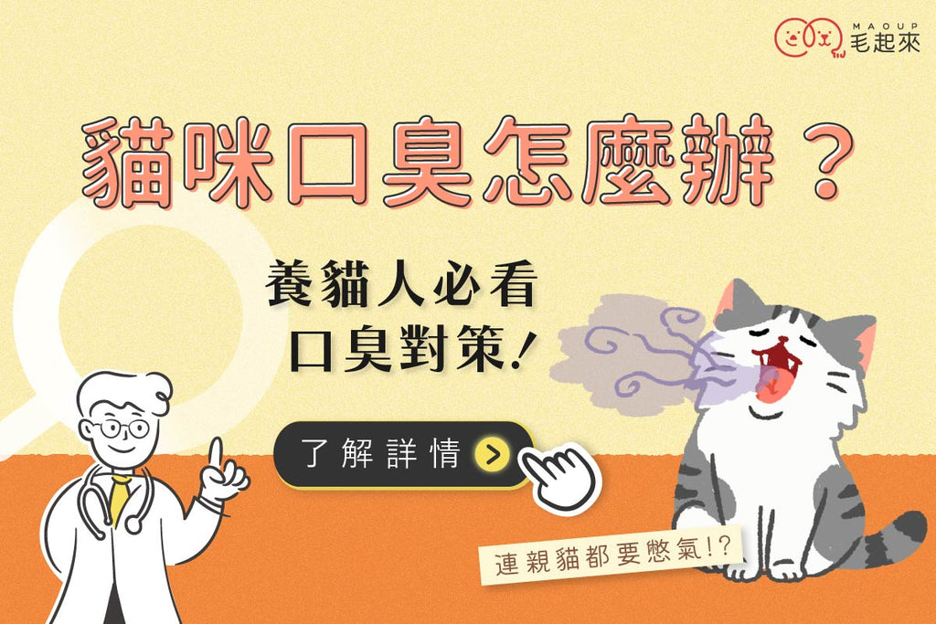 貓口臭怎麼辦？從流口水到改善方法，養貓人必看口臭對策！
