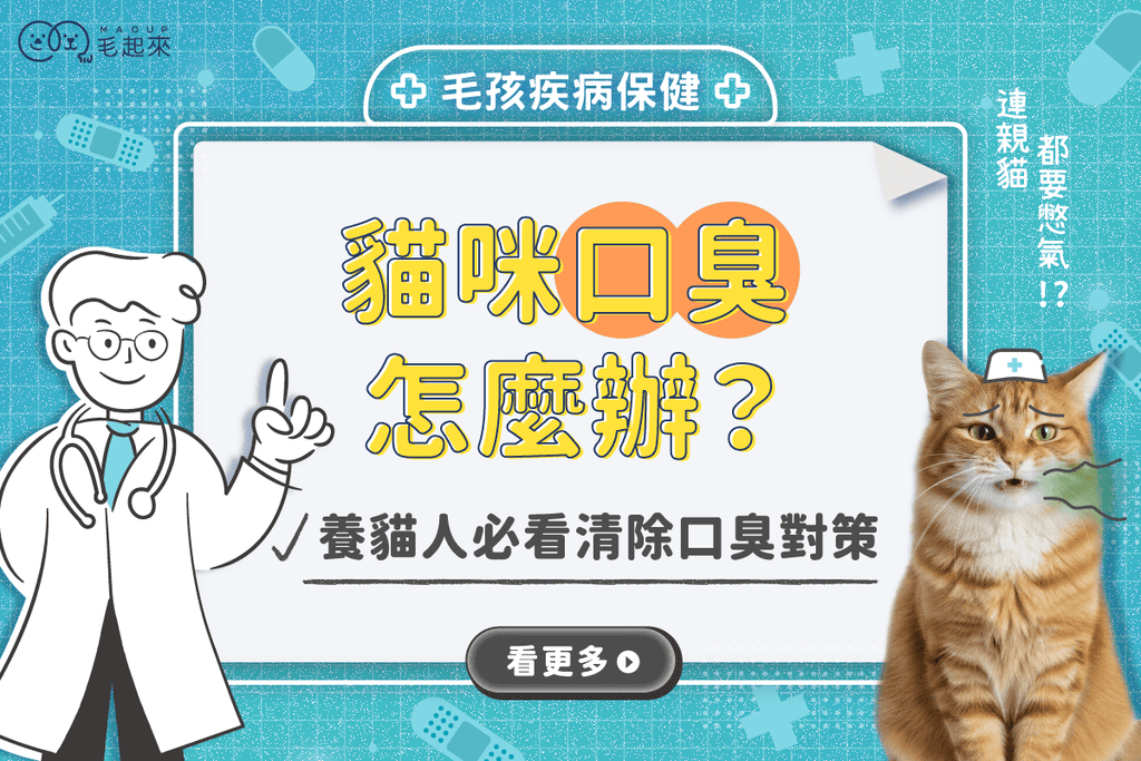貓口臭怎麼辦？從流口水到改善方法，養貓人必看口臭對策！