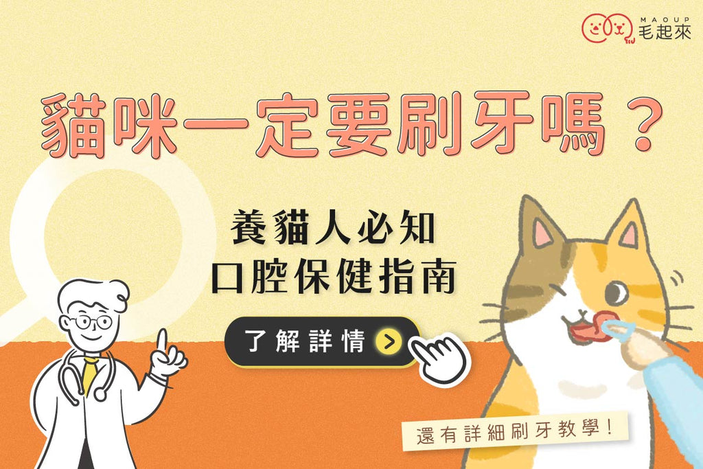 貓咪一定要刷牙嗎？不刷牙會怎樣？養貓人必懂的口腔保健指南