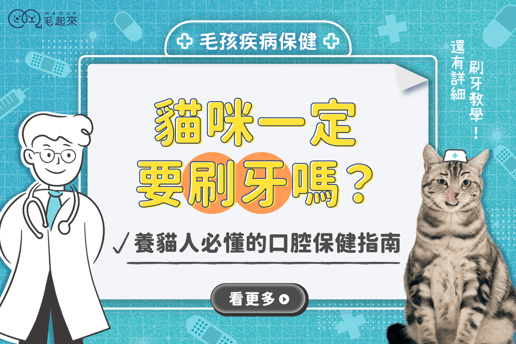 貓咪一定要刷牙嗎？不刷牙會怎樣？養貓人必懂的口腔保健指南