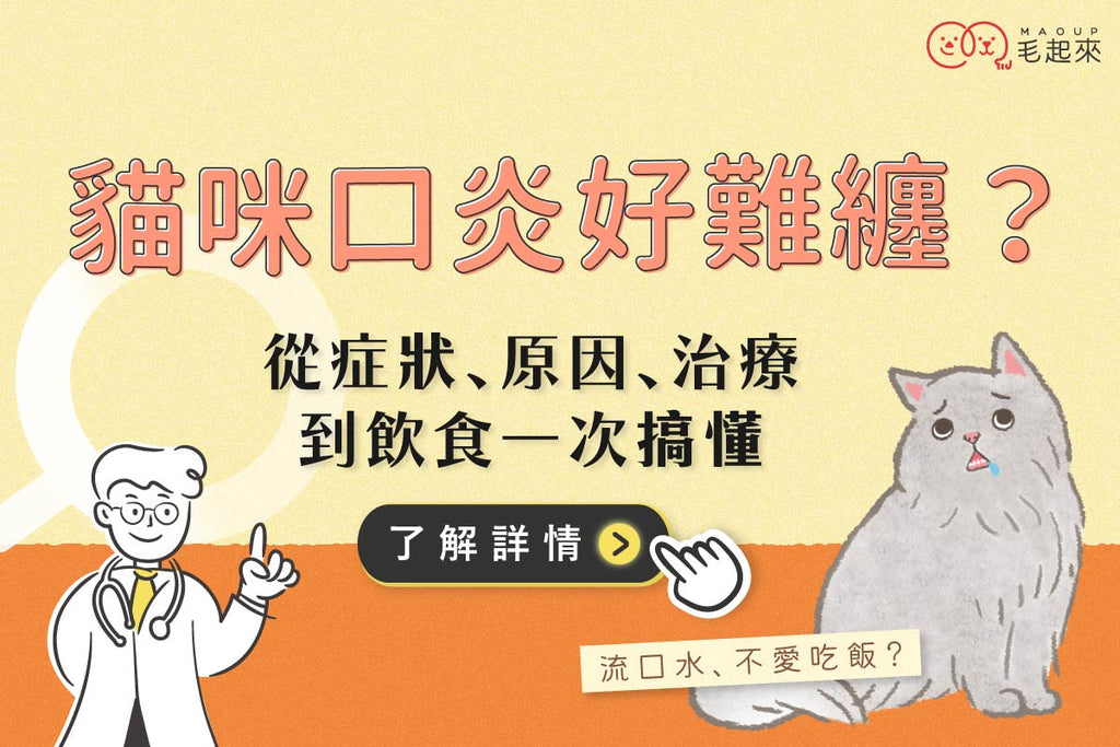 貓咪口炎好難纏？從症狀、原因、治療到飲食一次幫你搞懂