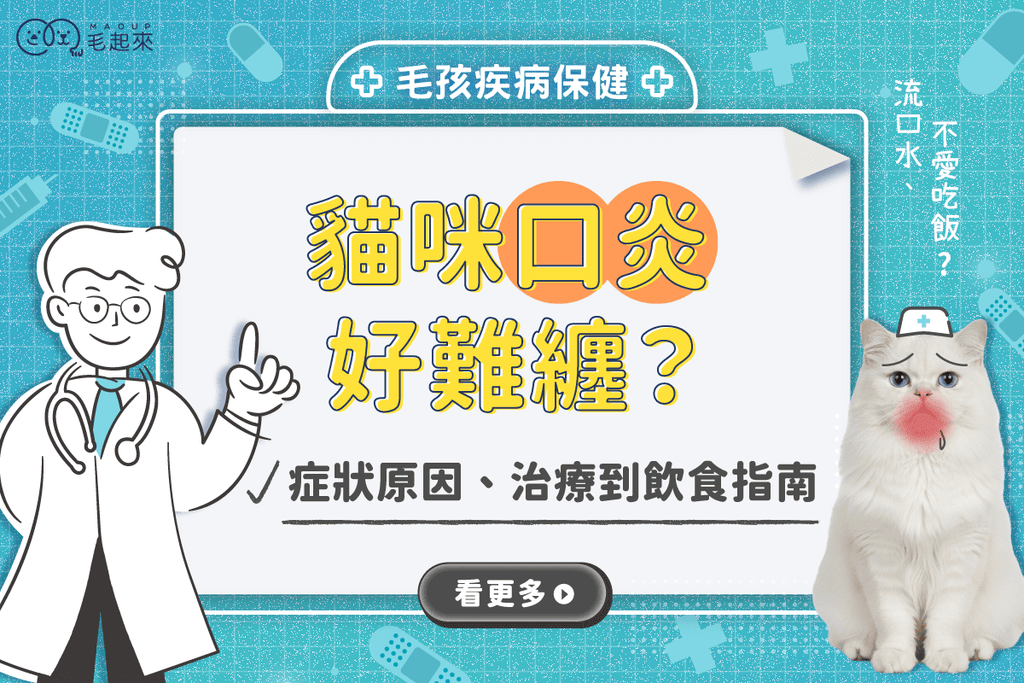 貓咪口炎好難纏？從症狀、原因、治療到飲食一次搞懂