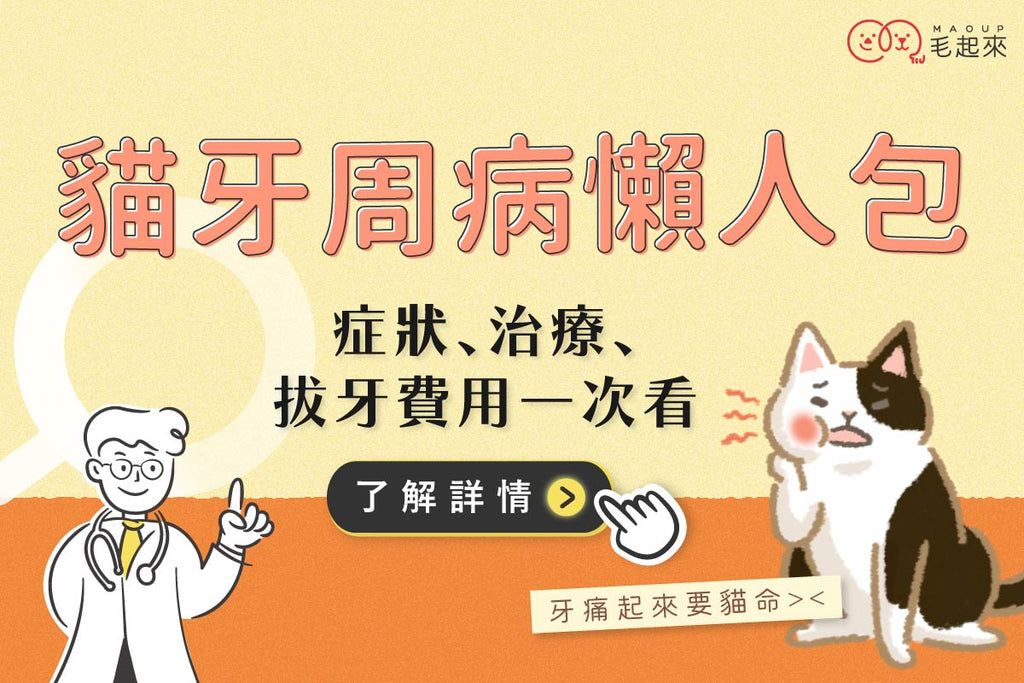 貓牙周病懶人包：症狀、治療、拔牙費用與 PTT 飼主心得一次看