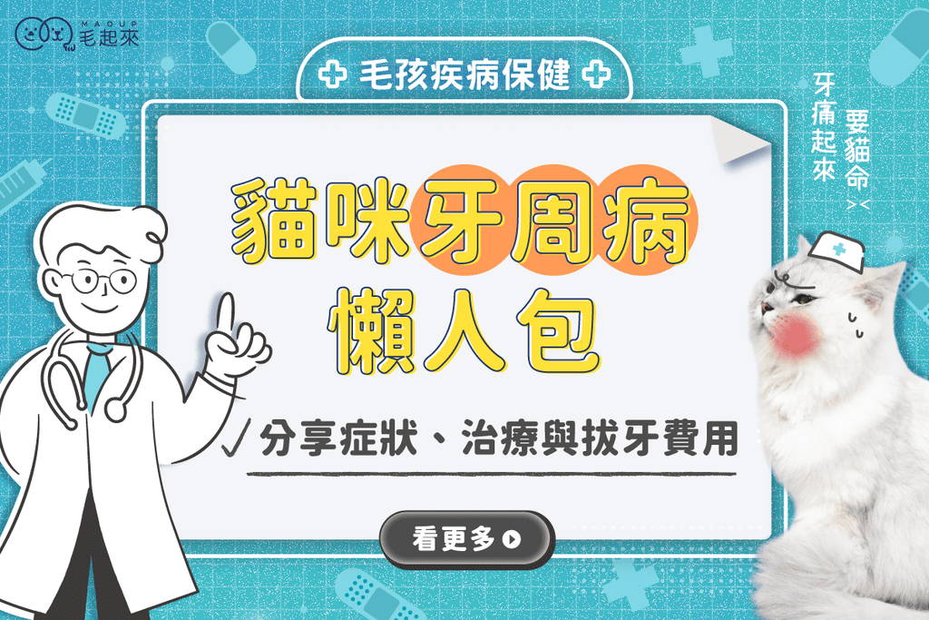貓牙周病懶人包：症狀、治療、拔牙費用與 PTT 飼主心得一次看