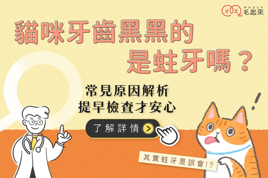 貓咪牙齒黑黑的是蛀牙嗎？原因解析，其實蛀牙是誤會比例很低