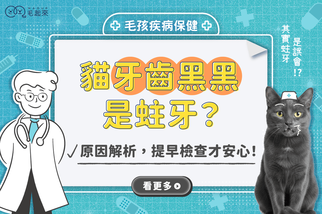貓咪牙齒黑黑的是蛀牙嗎？原因解析，其實蛀牙是誤會比例很低