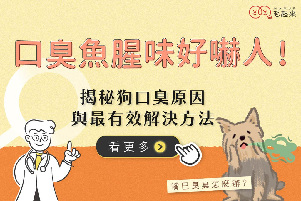 狗口臭魚腥味好嚇人！揭秘狗狗口臭原因與最有效的解決方法