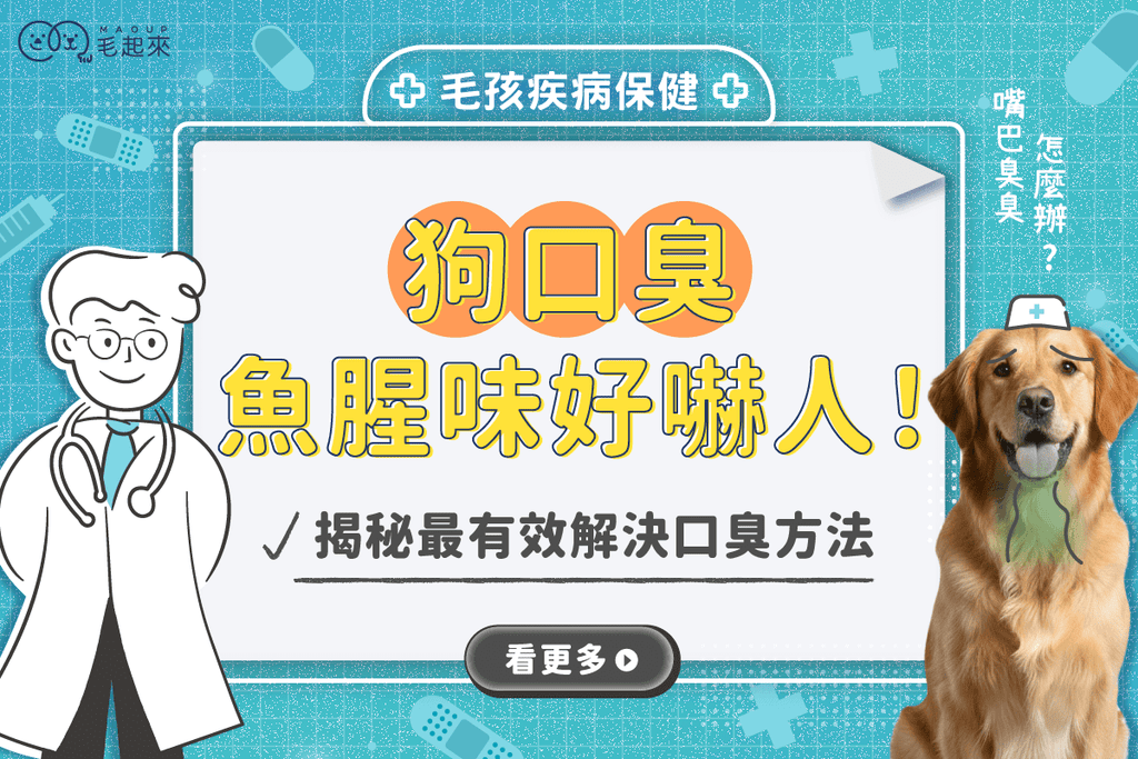 狗口臭魚腥味好嚇人！揭秘狗狗口臭原因與最有效的解決方法