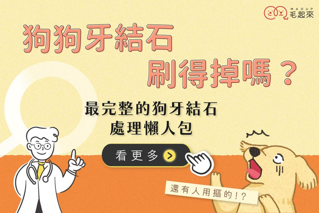 狗狗牙結石刷得掉嗎？還有人用摳的？最完整的狗牙結石處理懶人包