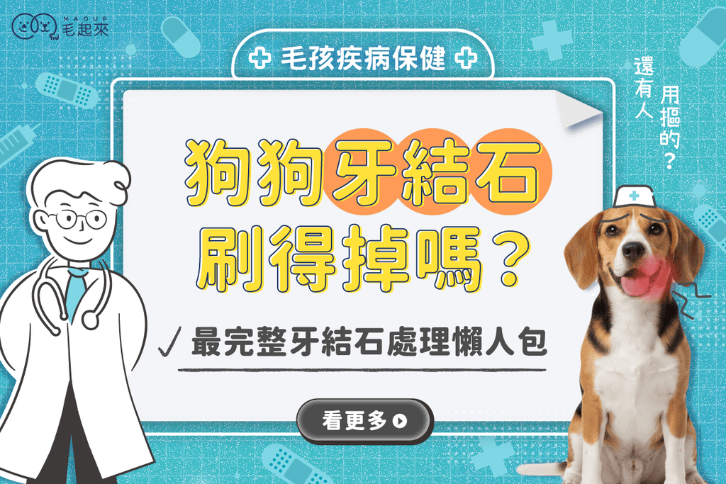 狗狗牙結石刷得掉嗎？還有人用摳的？最完整的狗牙結石處理懶人包