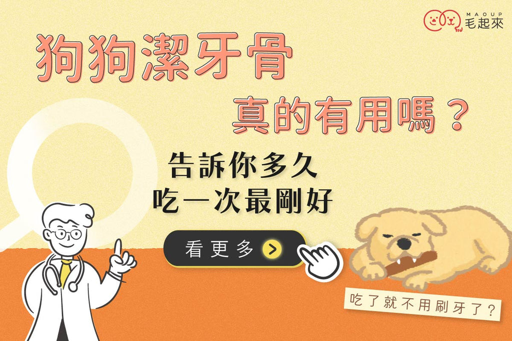狗狗潔牙骨潔牙棒真的有用嗎？多久吃一次最剛好？PTT網友經驗分享