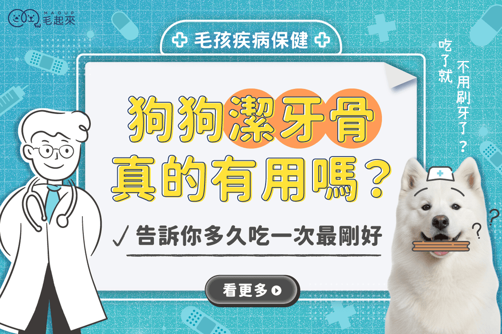 狗狗潔牙骨潔牙棒真的有用嗎？多久吃一次最剛好？PTT網友經驗分享