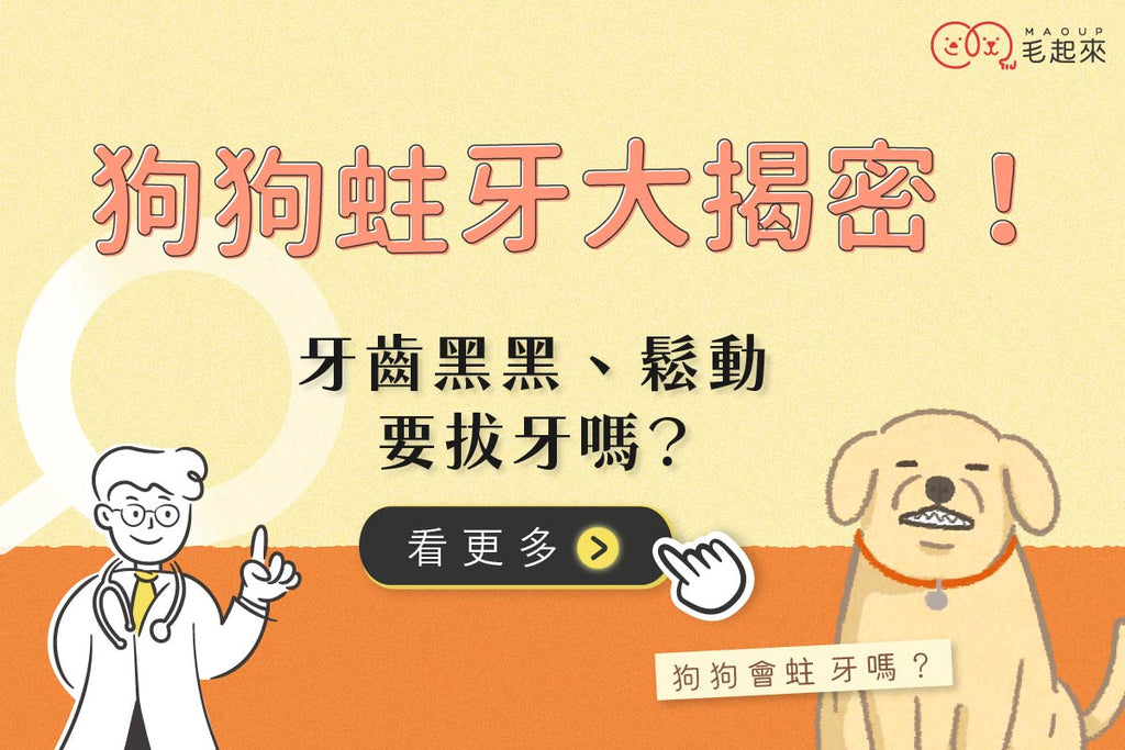 狗狗蛀牙大揭密！狗狗會蛀牙嗎？牙齒黑黑的、鬆動要拔嗎？