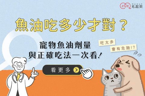 貓狗魚油要吃多少才對？寵物魚油劑量與正確吃法一次搞懂！