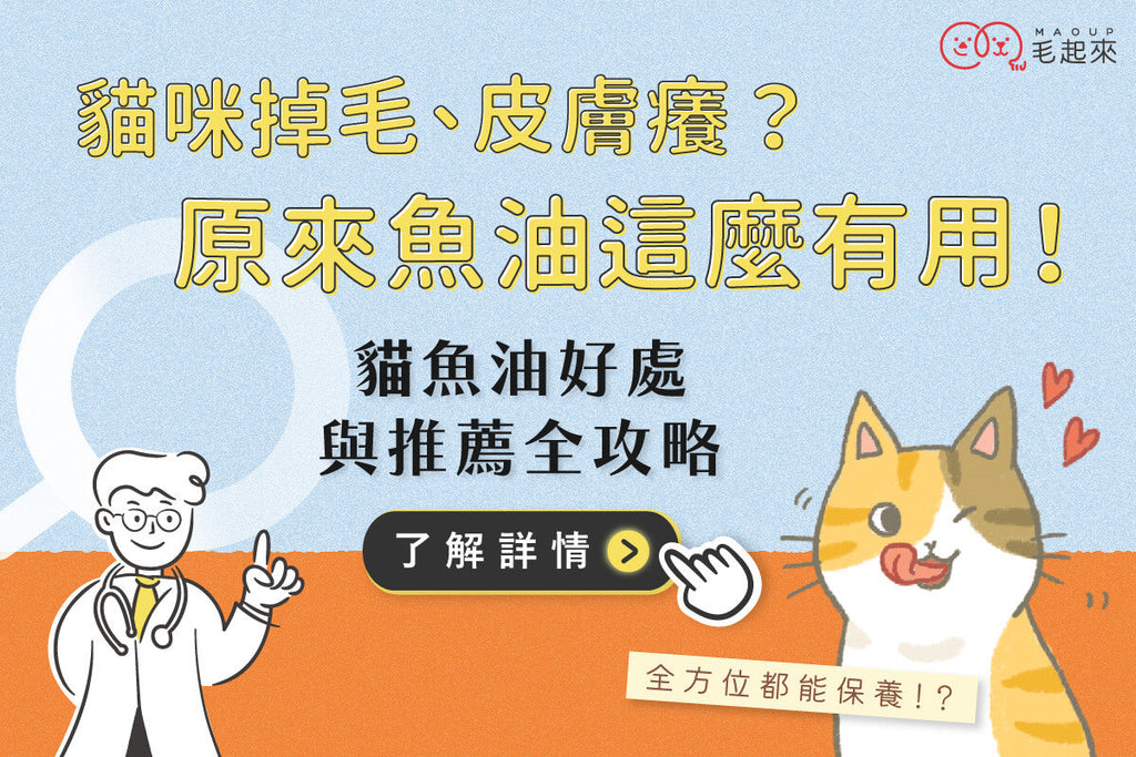 貓咪掉毛、皮膚癢？原來魚油這麼有用！貓魚油好處與推薦全攻略