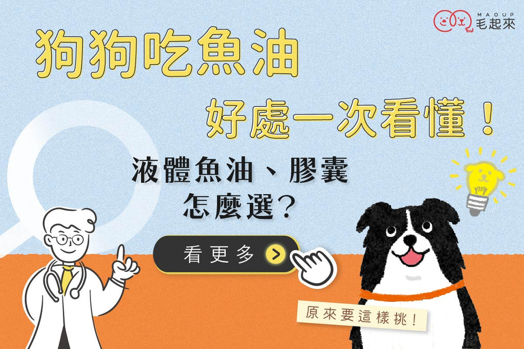 狗狗吃魚油好處一次看懂！液體魚油 vs. 膠囊魚油怎麼選最適合？