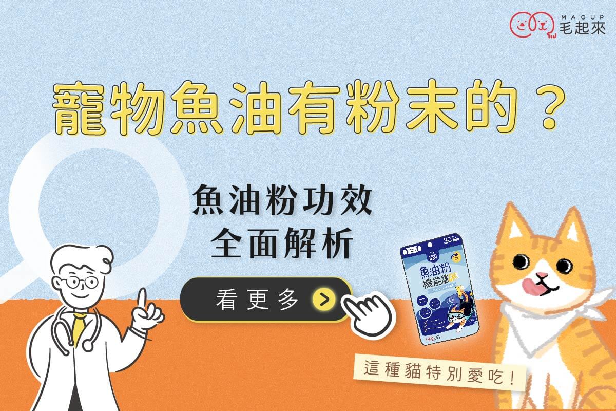 寵物魚油有粉末的？魚油粉功效全面解析，這種貓特別愛吃！