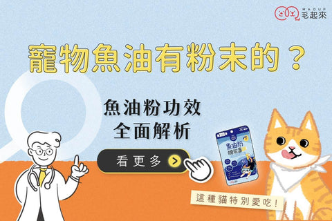 寵物魚油有粉末的？魚油粉功效全面解析，這種貓特別愛吃！
