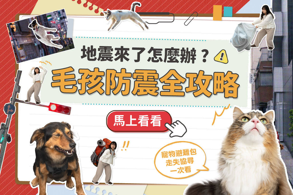 地震來了怎麼辦？狗狗貓咪防震全攻略：避難包清單、居家安全、走失協尋完整指南
