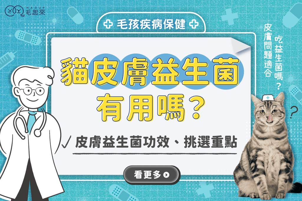貓皮膚益生菌有用嗎？解析貓益生菌皮膚功效、挑選重點與推薦方向