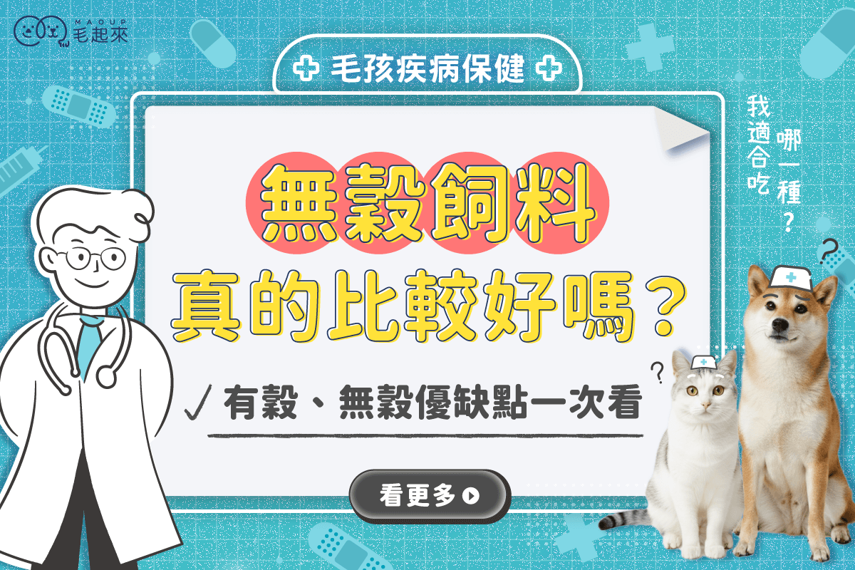 無穀飼料是什麼？無穀飼料真的比較好嗎？優缺點一次看懂