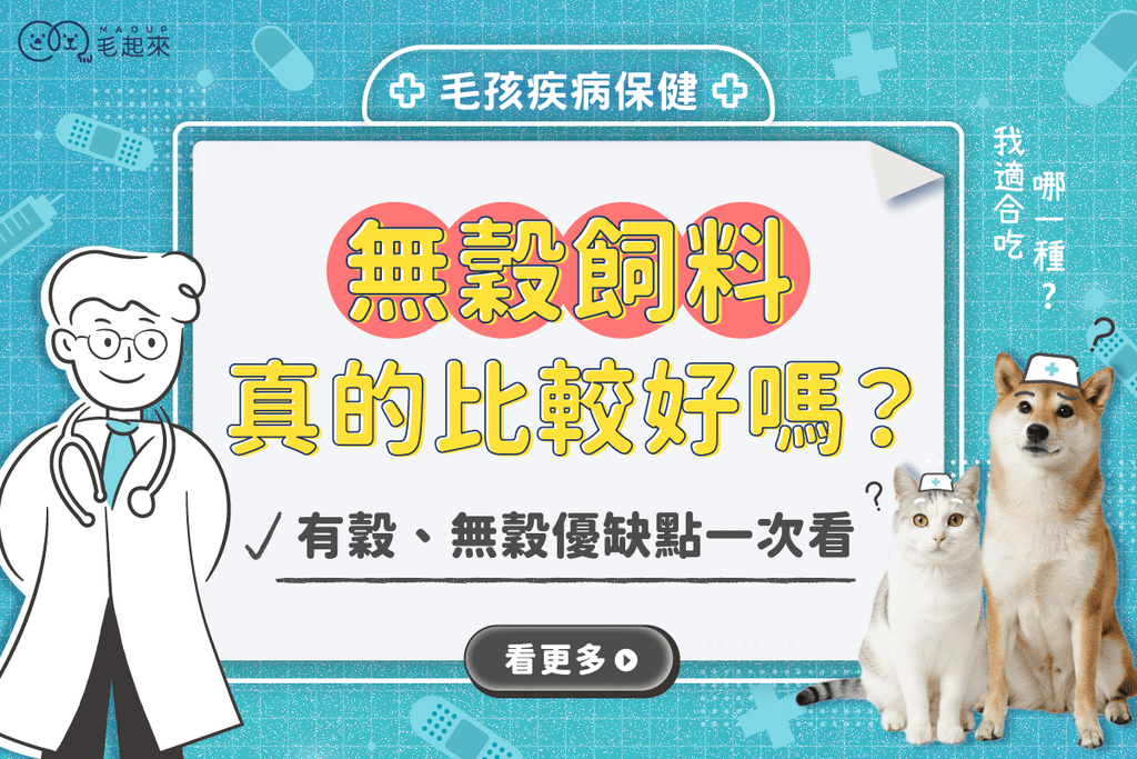 無穀飼料是什麼？無穀飼料真的比較好嗎？優缺點一次看懂