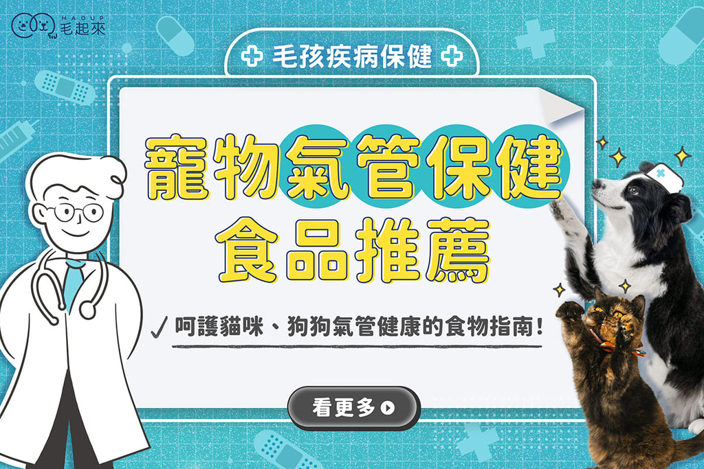精選[寵物氣管保健食品]推薦｜呵護貓咪、狗狗氣管健康的食物指南！