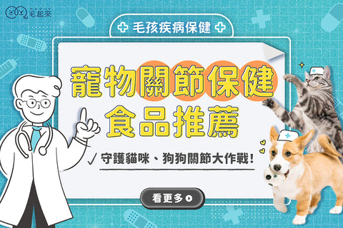 寵物關節保健食品推薦｜貓咪狗狗關節保健食品指南，成分、價格大解析！