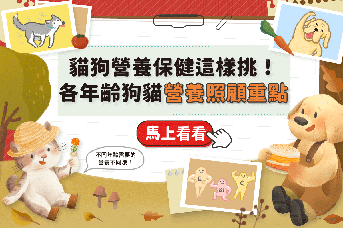 貓狗營養保健品這樣挑！各年齡狗貓營養保健重點一次看