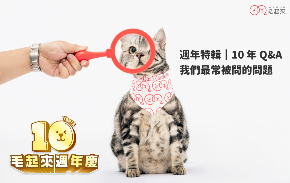 【毛起來10週年特輯5】最常問的 7 大問題，飼料、寵物用品常見 Q&A 大整理