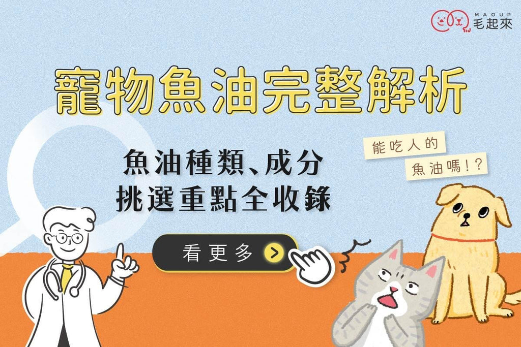 寵物魚油完整解析：魚油種類、成分與狗狗貓咪能不能吃人的魚油？