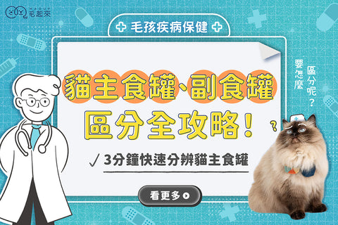 貓主食罐、副食罐怎麼分？3大方法教你挑對貓罐頭！
