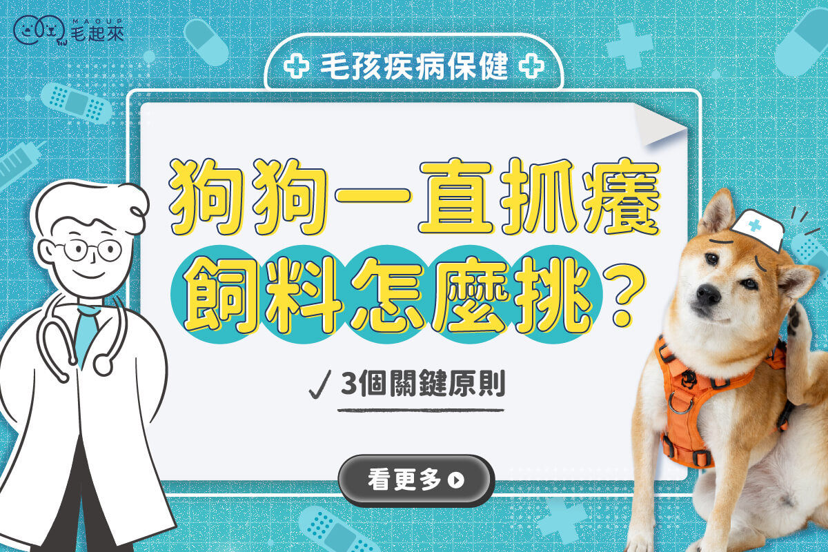 狗狗一直抓癢抓不停？敏感膚質飼料挑選＆5大皮毛異常觀察！