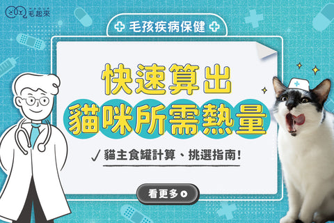 貓一天要吃多少熱量？貓主食罐熱量計算、挑選一次搞定！