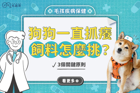 狗狗一直抓癢抓不停？敏感膚質飼料挑選＆5大皮毛異常觀察！