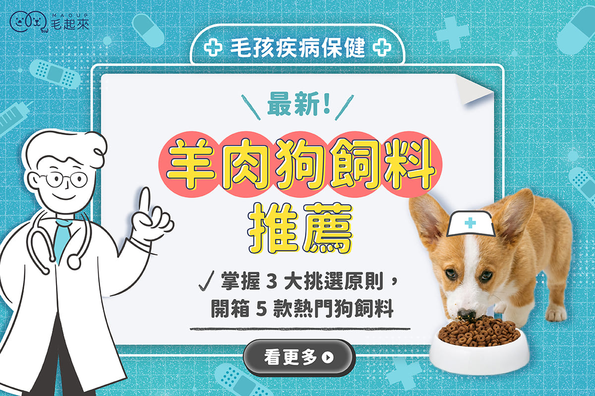 最新羊肉狗飼料推薦！掌握 3 大挑選原則，開箱 5 款熱門狗飼料