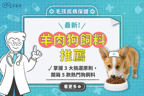 最新羊肉狗飼料推薦！掌握 3 大挑選原則，開箱 5 款熱門狗飼料