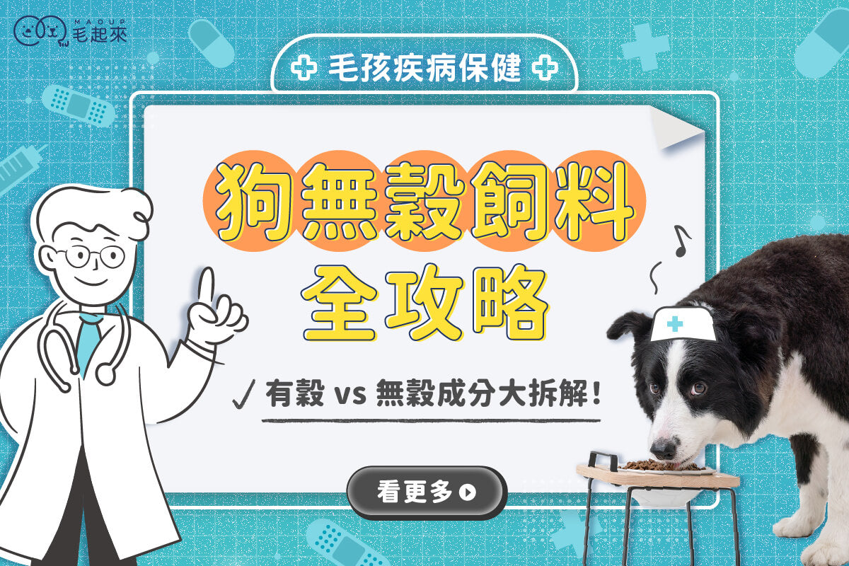 狗無穀飼料全攻略，有穀 vs 無穀成分大拆解！